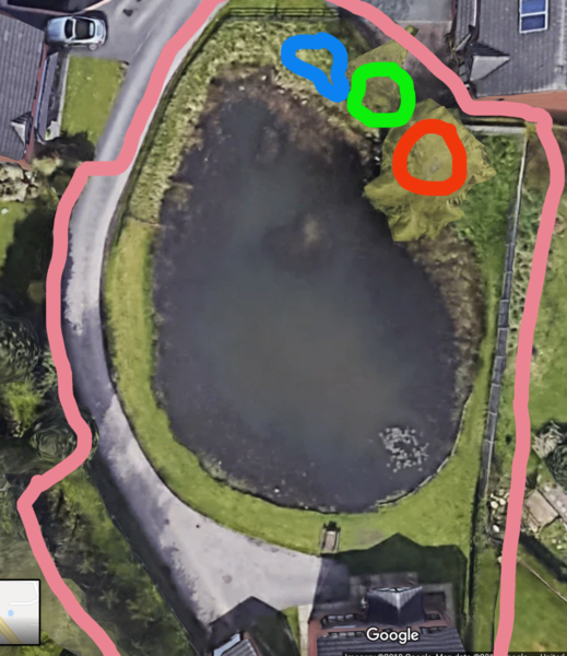 Help me plan a very unusual blank canvas