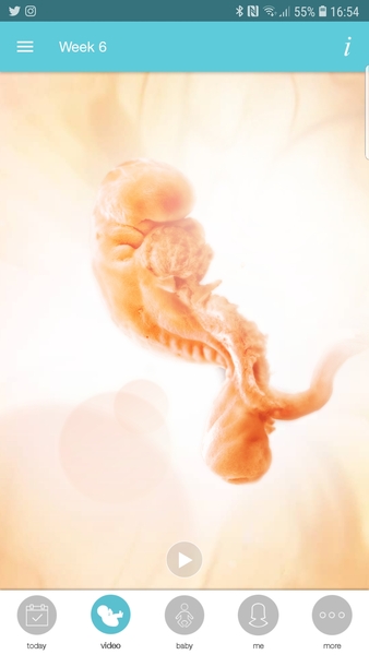 Due November 2019 Continued