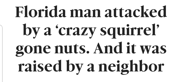 Florida Man game
