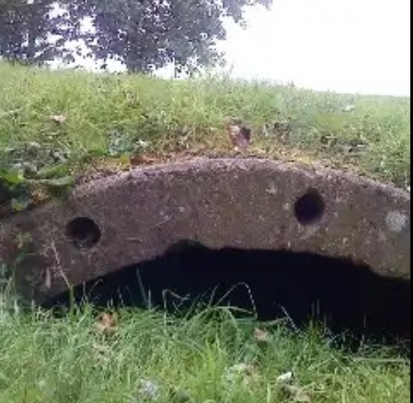 Do you see faces in things?