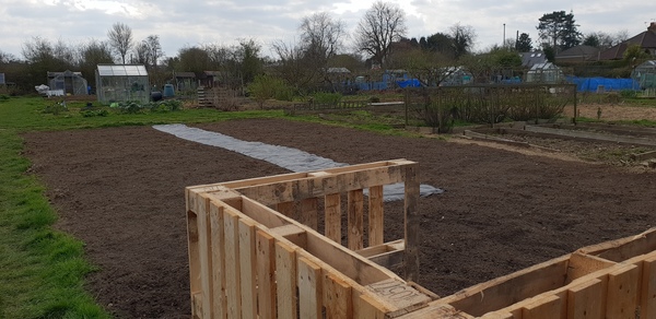 Allotment?Veg Patch Thread 13! Are we weathering the weather?