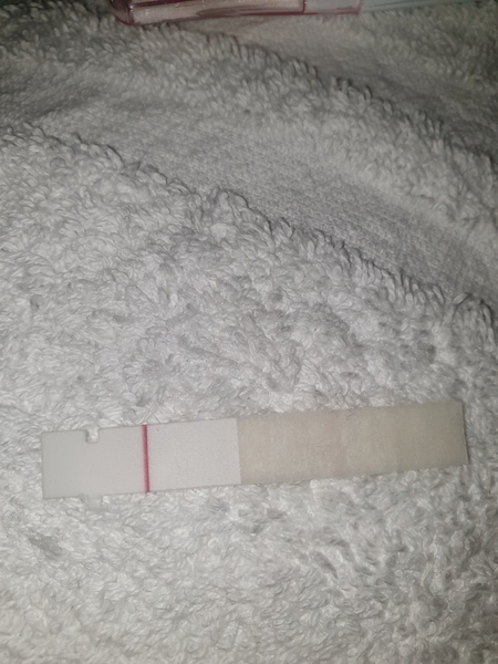 5dpo