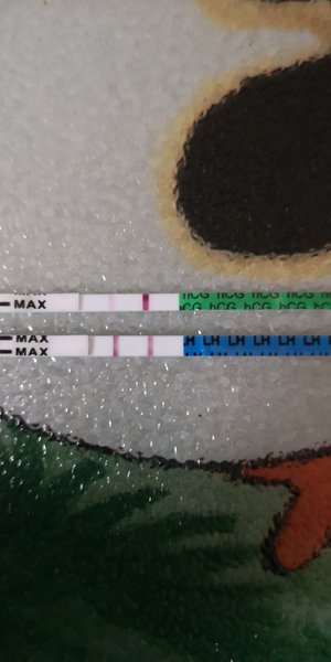 Is this a true surge?
