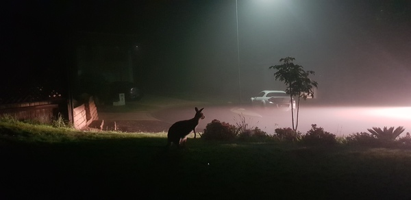 Any Witches Here? Part 7.