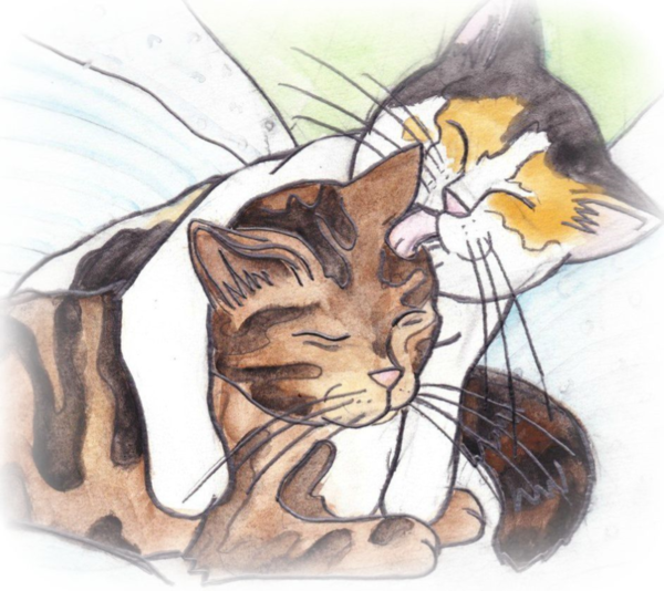 Westminstenders: The Last Rites