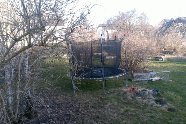 Westminstenders: Chaos