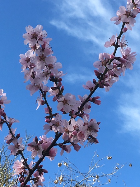 Any Witches Here? Part 7.