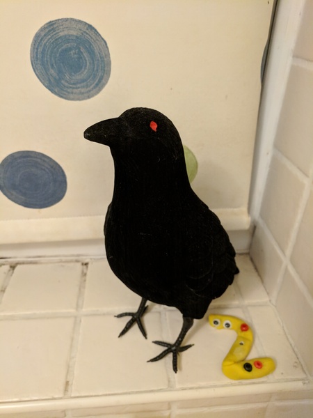 AIBU to ask if your Halloween ravens are going grey?