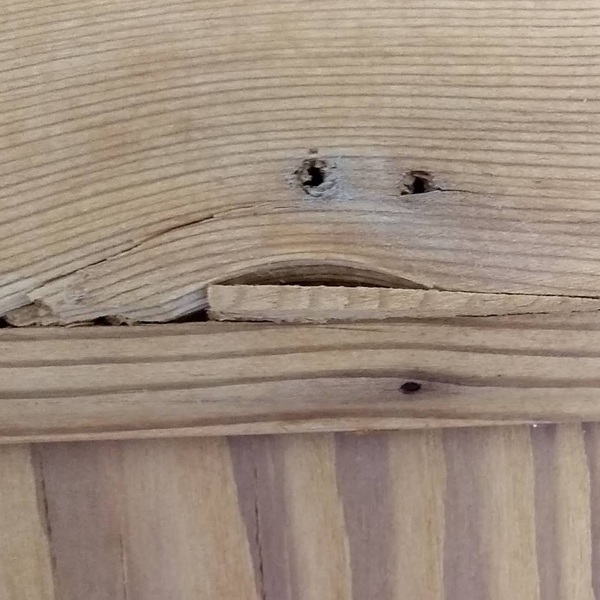 Do you see faces in things?