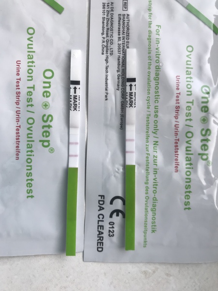 TTC Thread 2 2019