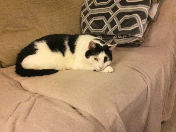 So ashamed!