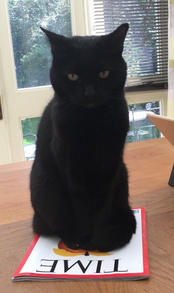 Westminstenders: The Last Rites