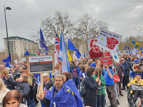 Westminstenders: Pragmatism versus Purity