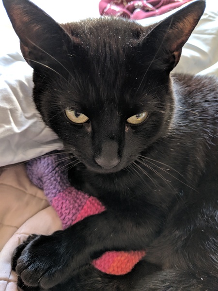 Westminstenders: Happy Brexit Day!