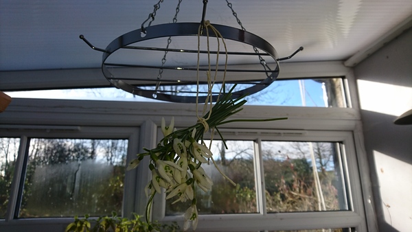 Any Witches Here? Part 7.