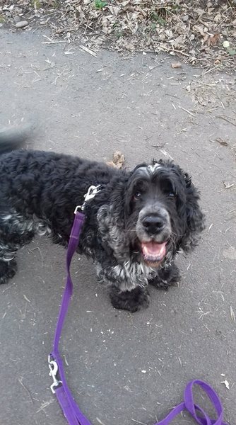 Support For Anyone Coping With The Loss Of A Parent