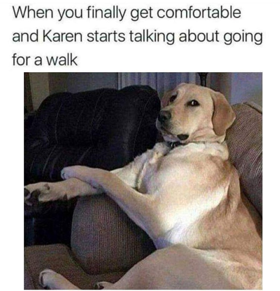 Please share your funny memes or pictures.