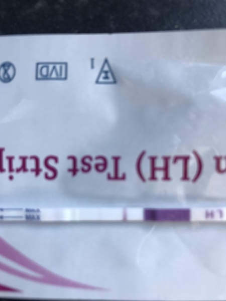 5dpo