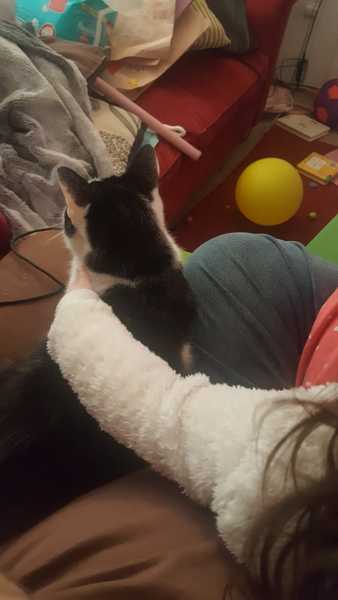 To be really creeped out by my cat?