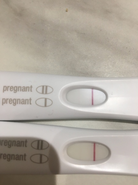 Help please- BFP or left over HCG?