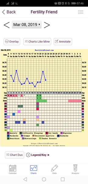 The July 19ers - The rollercoaster continues, scream if you wanna go faster