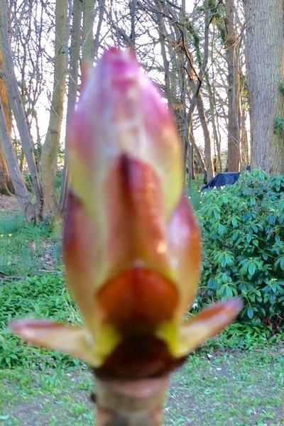 Help! Can you identify this please?