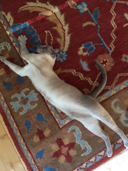 Westministenders: The DisUnited Kingdom of Remaina