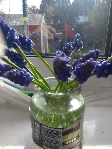 No delayed exit for clutter - March Flylady Thread 2019 for fledglings!