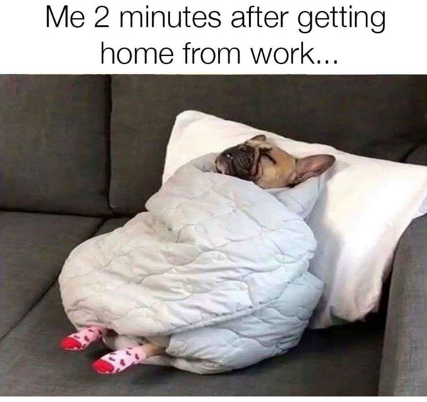 Please share your funny memes or pictures.