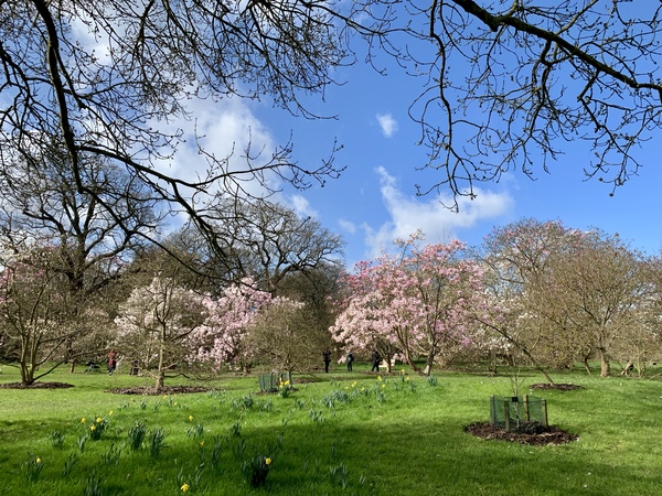 Spending sparingly in early Spring - frugal friendly folk gather round.