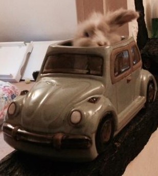 It's not summer yet, but we are on cancer support thread 69. Join us if you've got cancer or are having cancer-related tests.