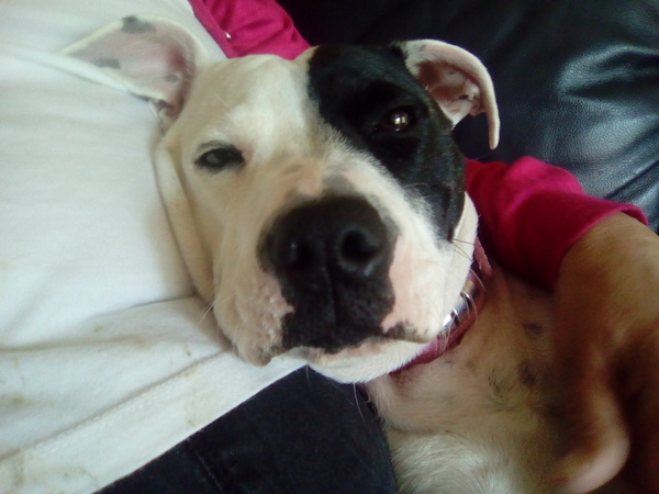 Westminstenders: Happy Brexit Day!