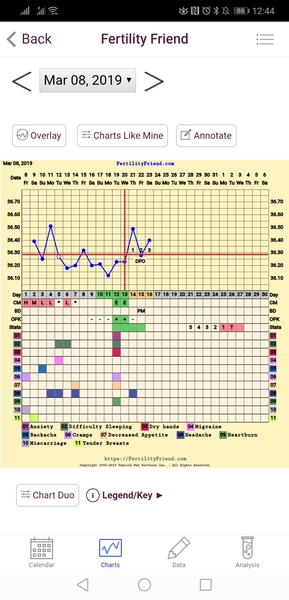 The July 19ers - The rollercoaster continues, scream if you wanna go faster