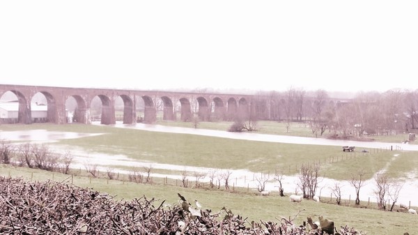 Ribble Valley / Whalley and River Calder