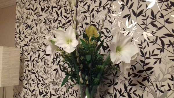 Anyone have a Freddie's Flowers code?