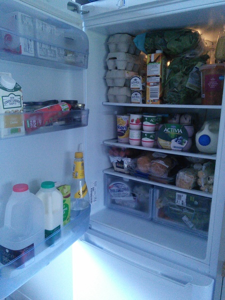 Show me your fridge!