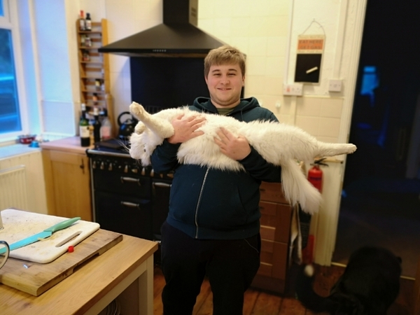 To tell him he is crap