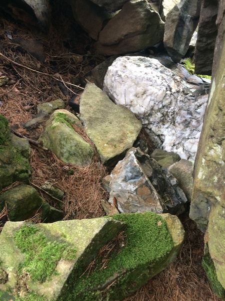 Any Witches Here? Part 7.