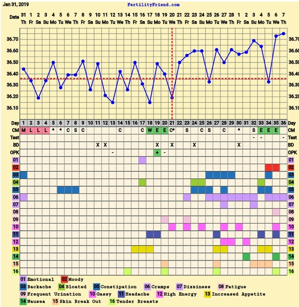 Opinions on chart? What's going on?