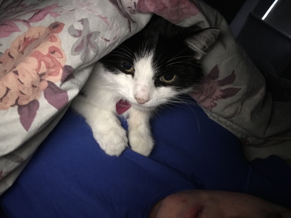 Who else has a furry nurse?