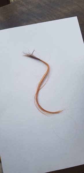 Highlights - yes or no? (with photo attached)