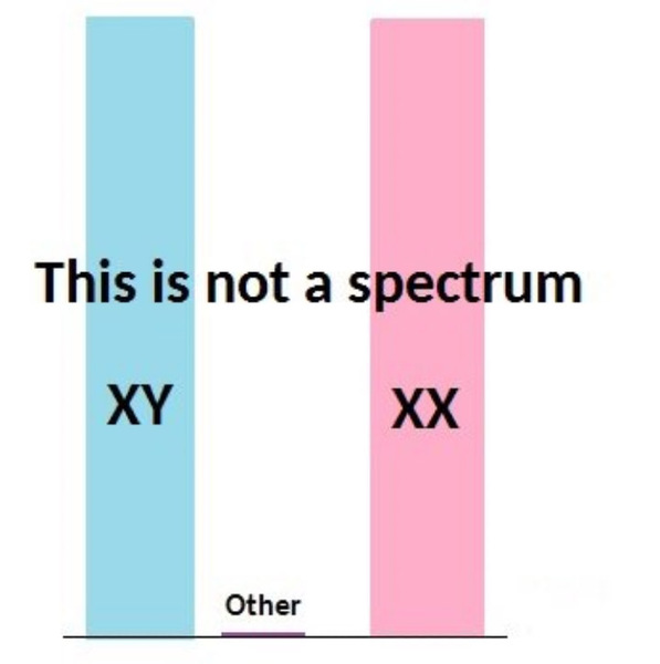 Here's the science bit