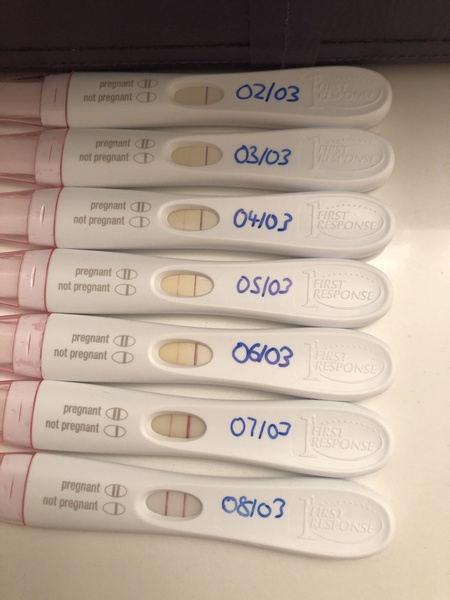 Due November 2019