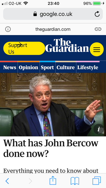 To find John Bercow very attractive