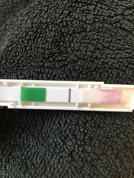 5dpo