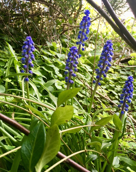 Any Witches Here? Part 7.