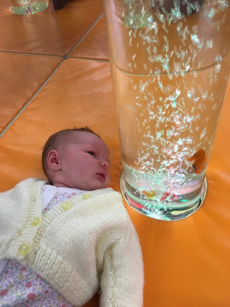 The March-ers 2019 - #10 More Babies