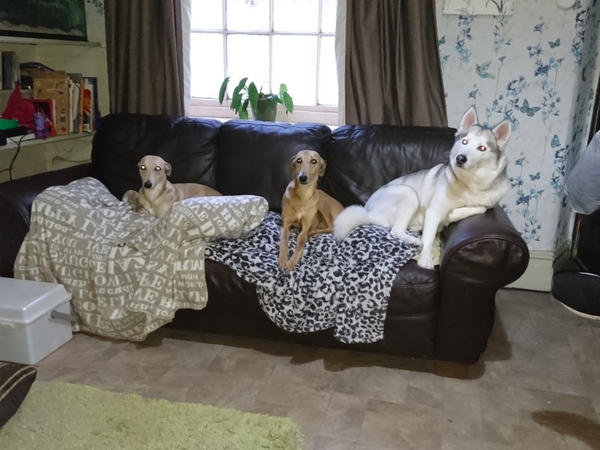 Throws on sofas - how to stop them slipping
