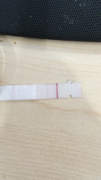 5dpo