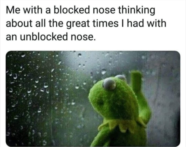 Please share your funny memes or pictures.